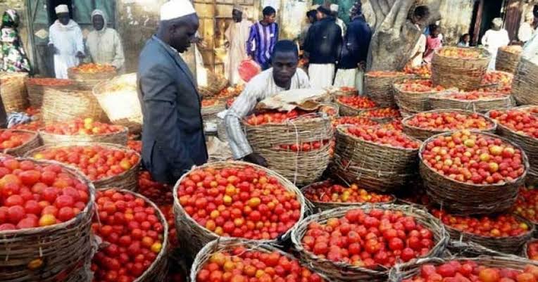 Lagos market clash: Northern unions threaten to cut tomato supply to South